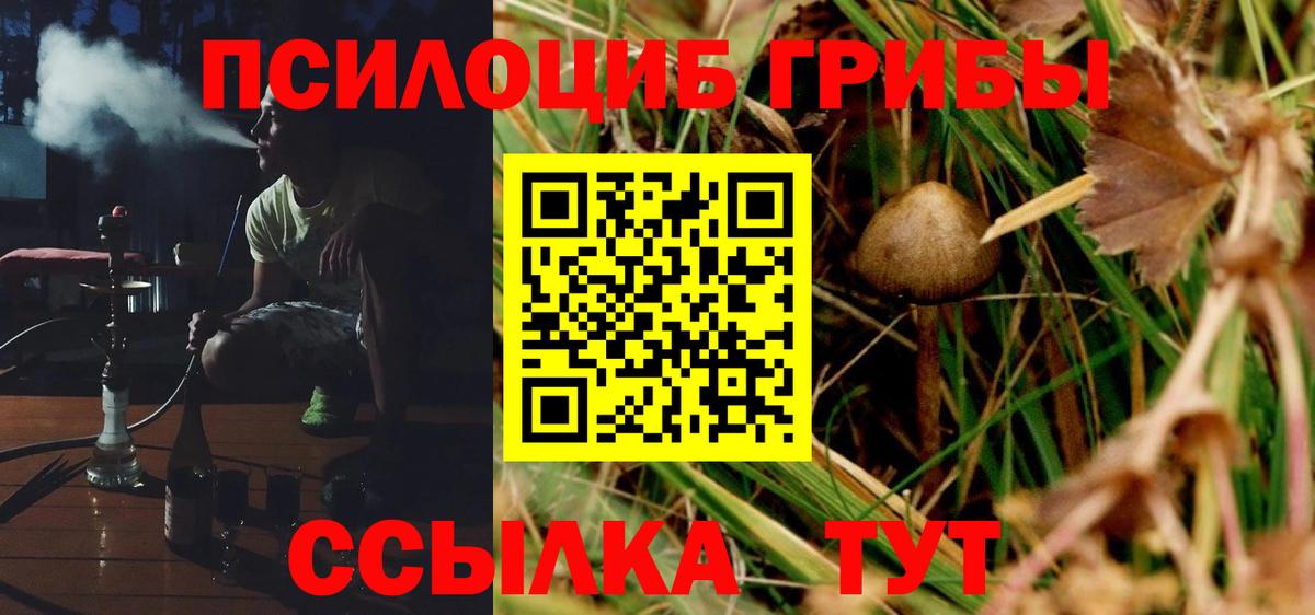 Галлюциногенные грибы прущие грибы Тулун