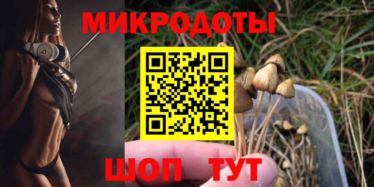 Тулун  Галлюциногенные грибы Cubensis  Псилоцибиновые грибы Psilocybe  Вход с VPN 